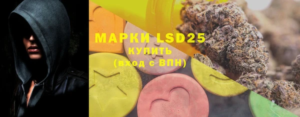 PSILOCYBIN Абаза