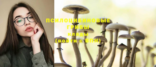 PSILOCYBIN Абаза