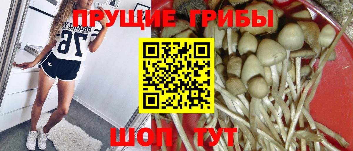 Псилоцибиновые грибы Magic Shrooms Зерноград