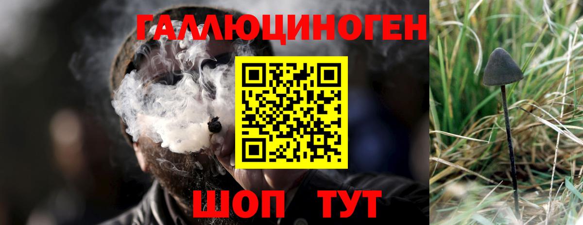 Галлюциногенные грибы Psilocybine cubensis  Вход с VPN  Зерноград 