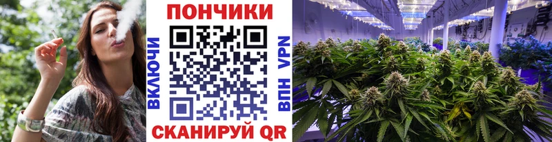 ссылка на мегу ONION  Зерноград  Канабис Ganja  купить  цена 